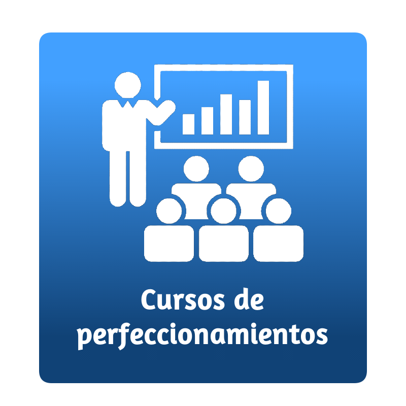 Cursos de perfeccionamientos